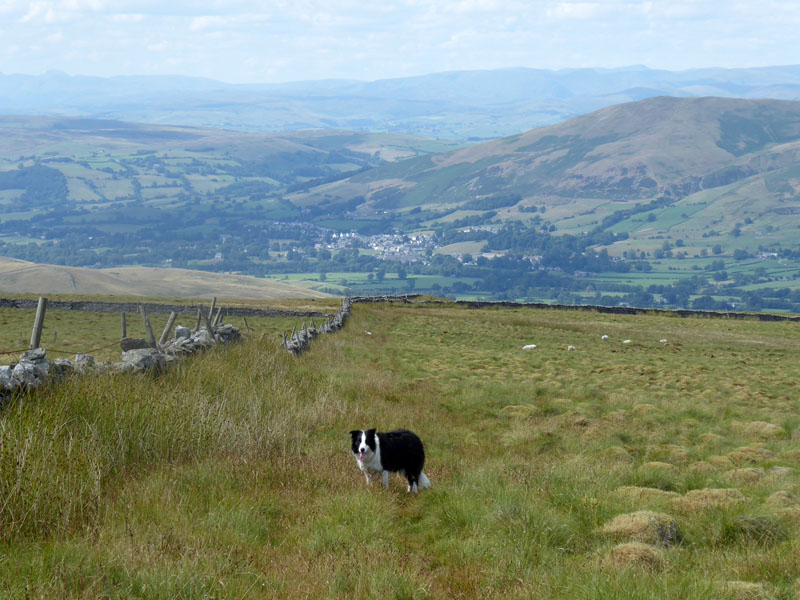 Aye Gill Pike