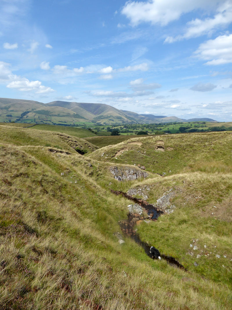 Holebeck Gill