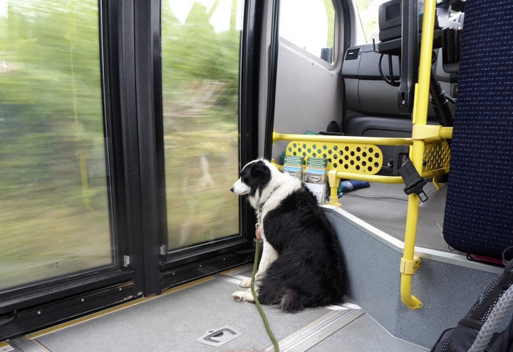 Western Dales Bus