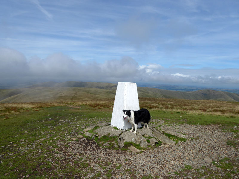 Molly on top of The Calf