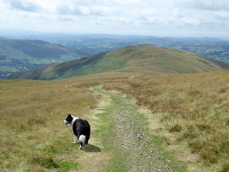 Howgill Walking