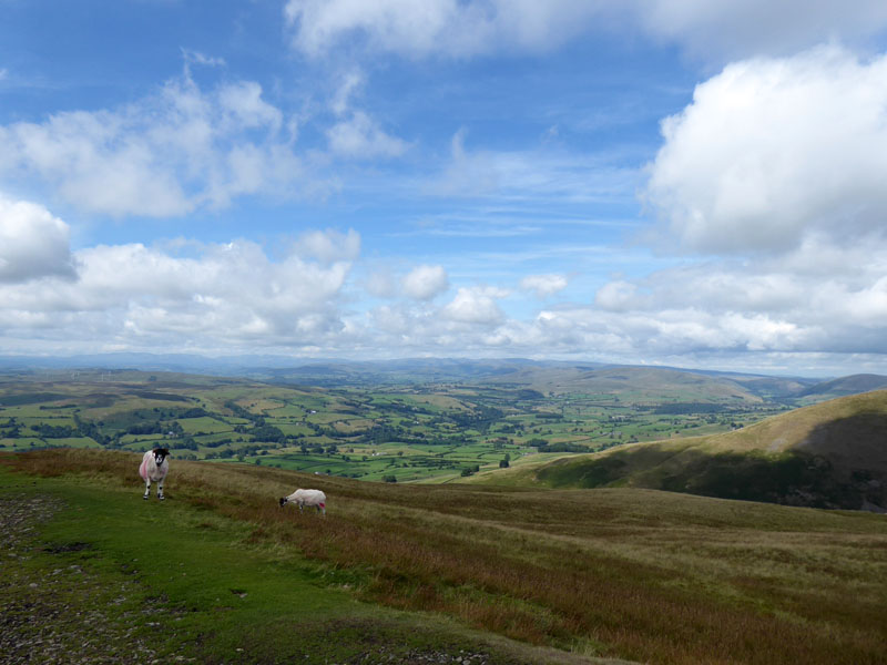 Lakeland Fells