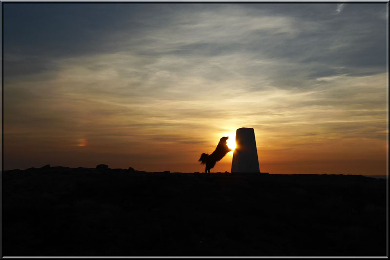 Pendle Sunset