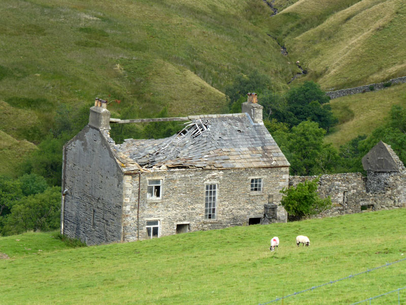 Mountain View Farm