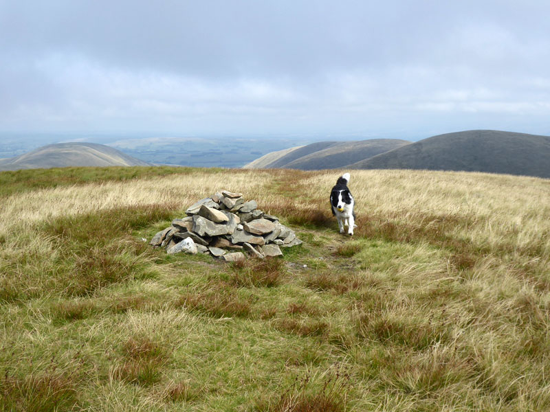 Yarlside