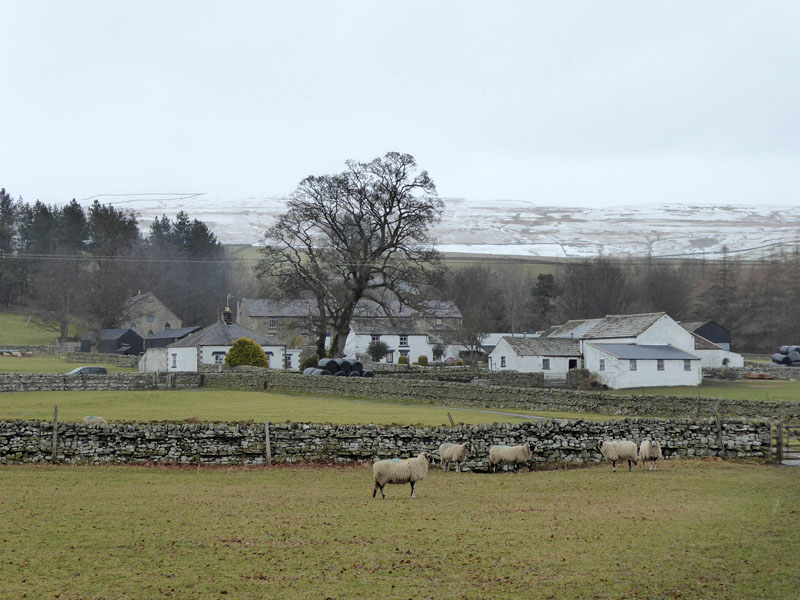 Bowlees