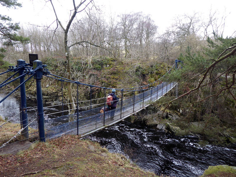 Tees Footbridge