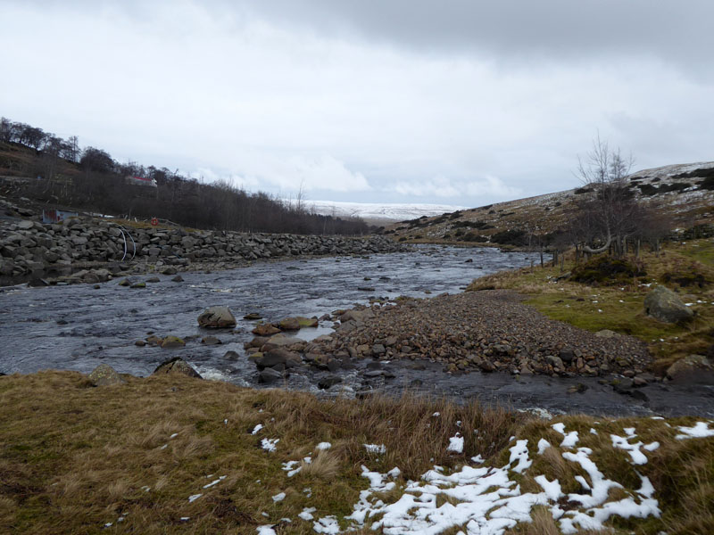 River Tees