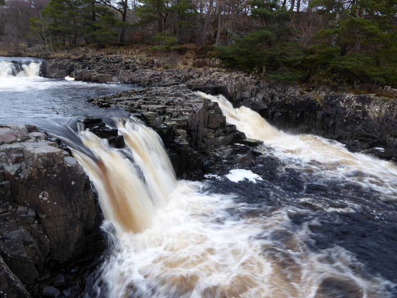 Low Force