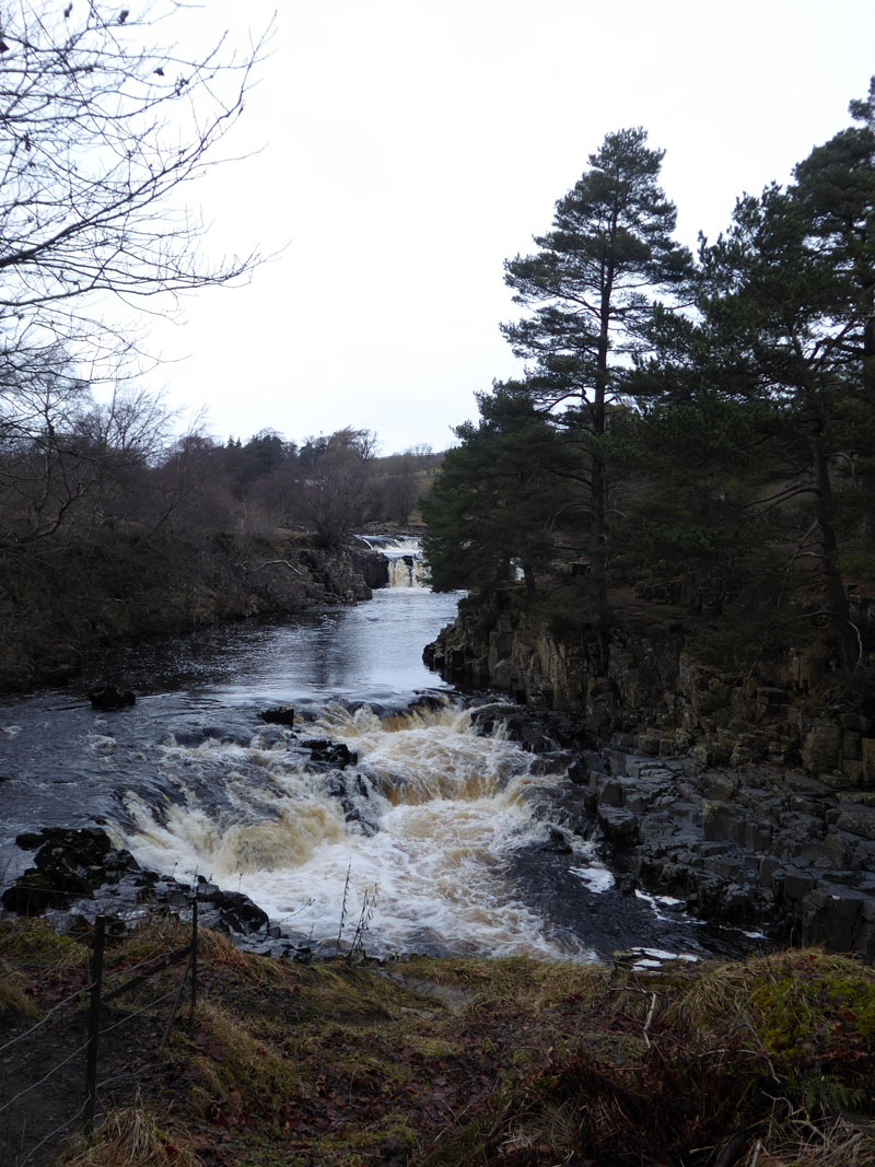 Low Force