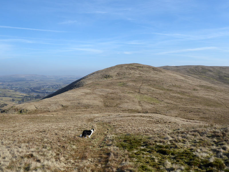 Jeffrey's Mount