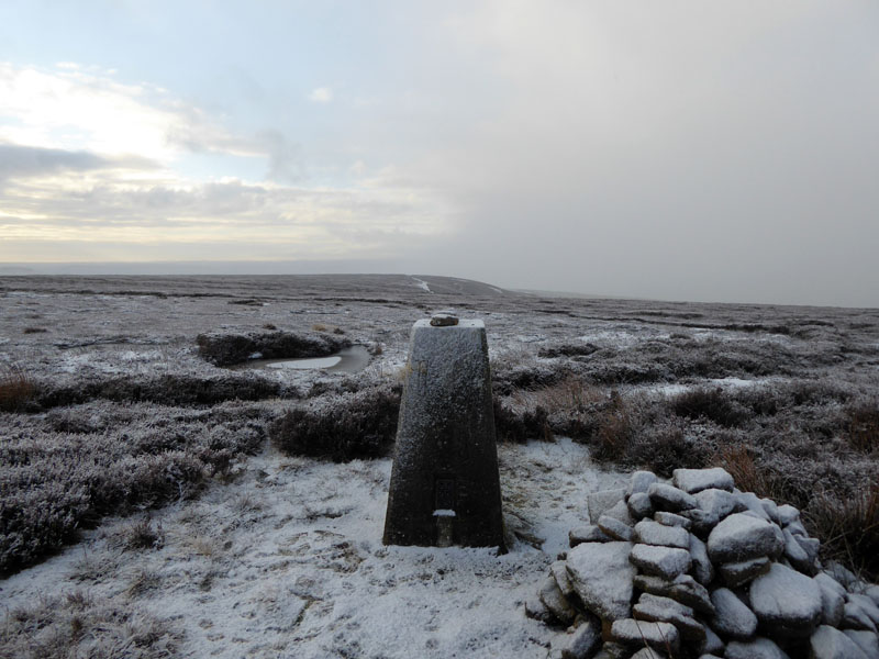 Sand Edge Common