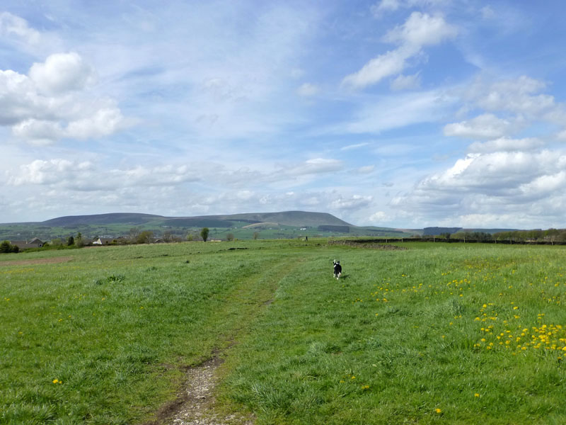 Pendle from home