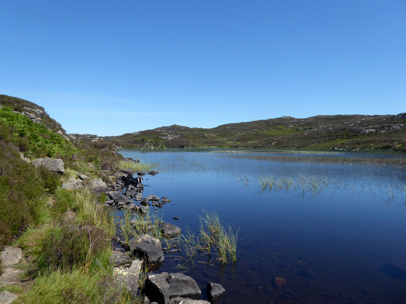 Dock Tarn