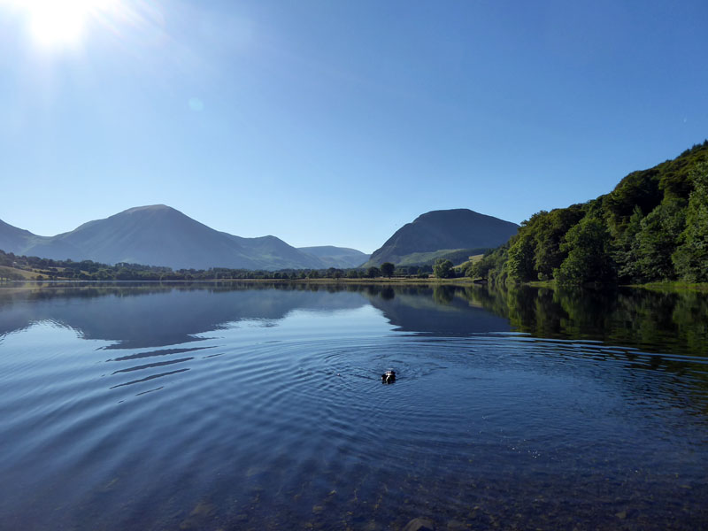 Molly in Loweswater