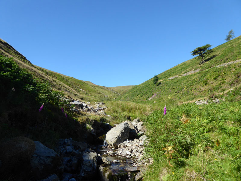 Holme Beck