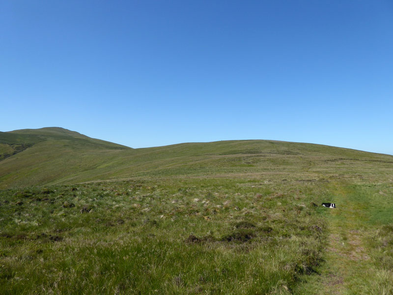 Burnbank Fell