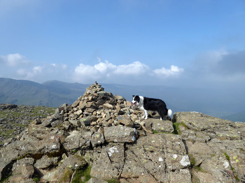 Molly on High Stile