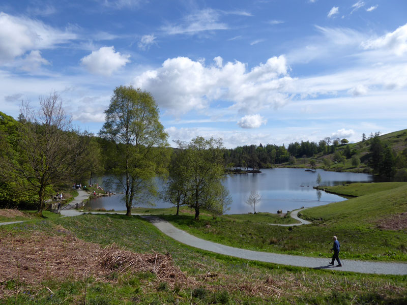 Tarn Hows