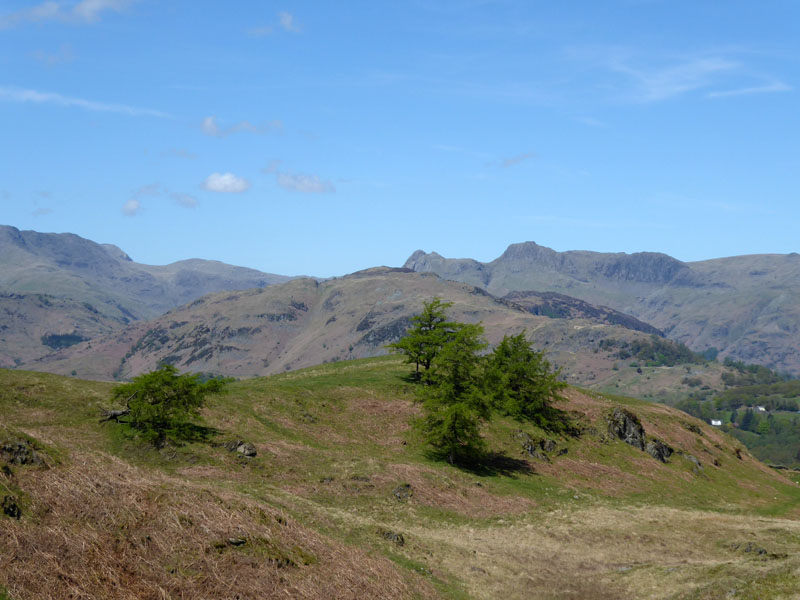 Langdales