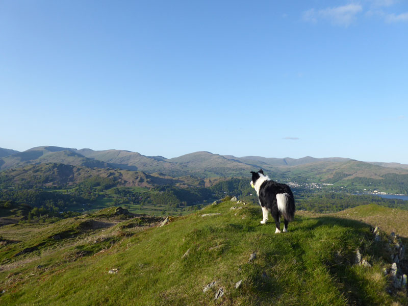 Black Fell View