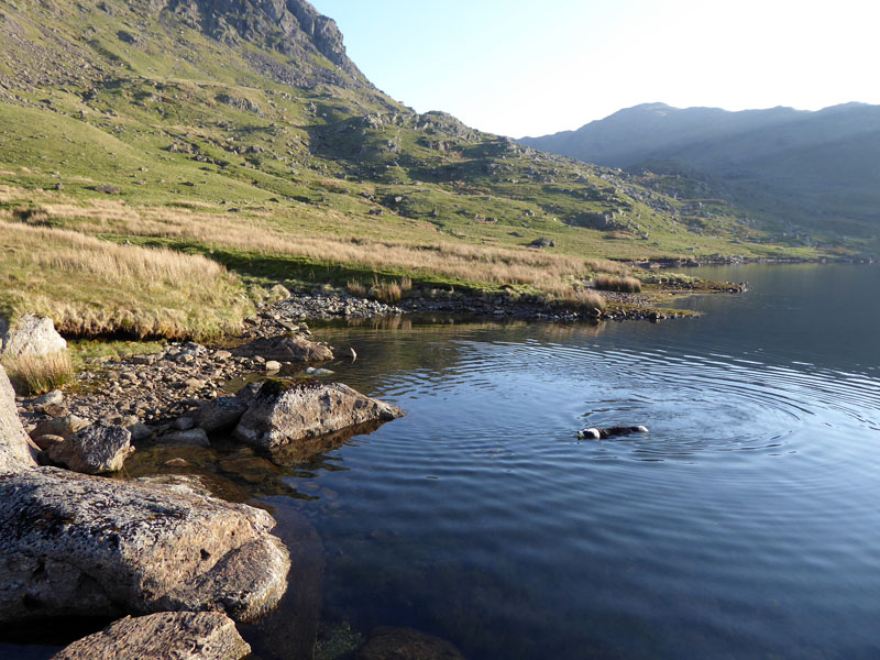 Molly Levers Water