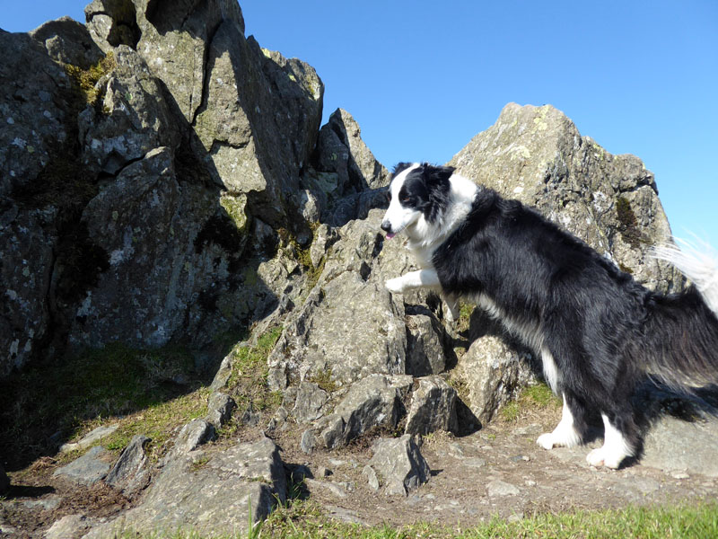 Molly Dow Crag