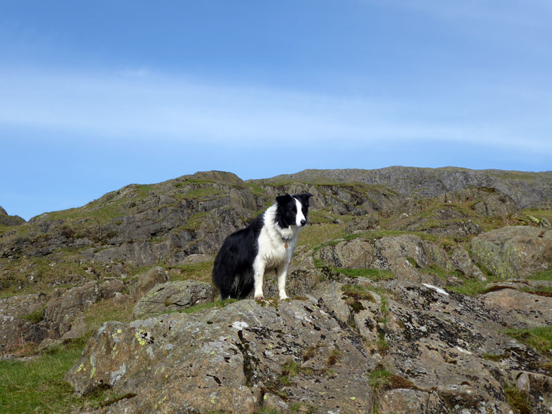 Yewdale Fells