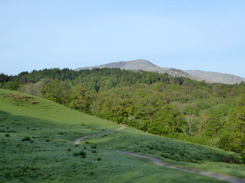 Elterwater Park