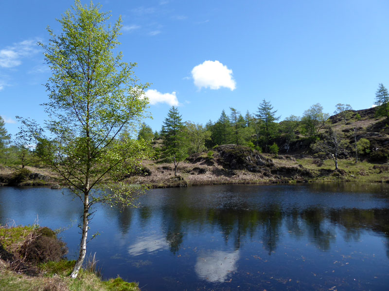 Holme Fell Reservoir