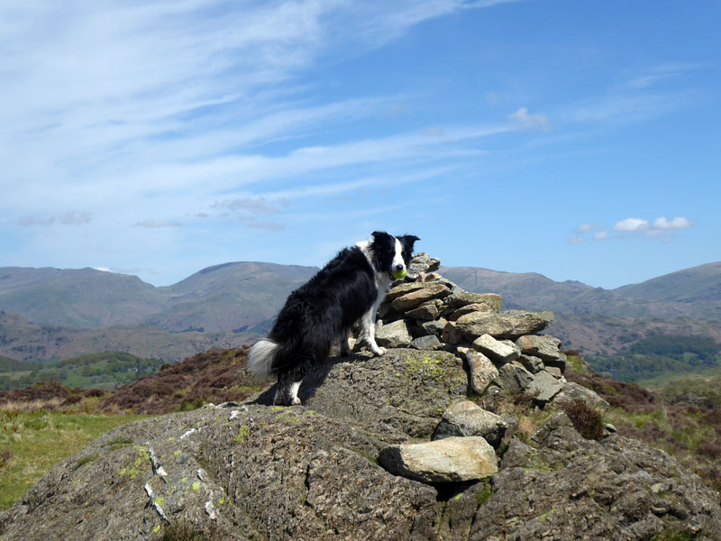 Molly Holme Fell