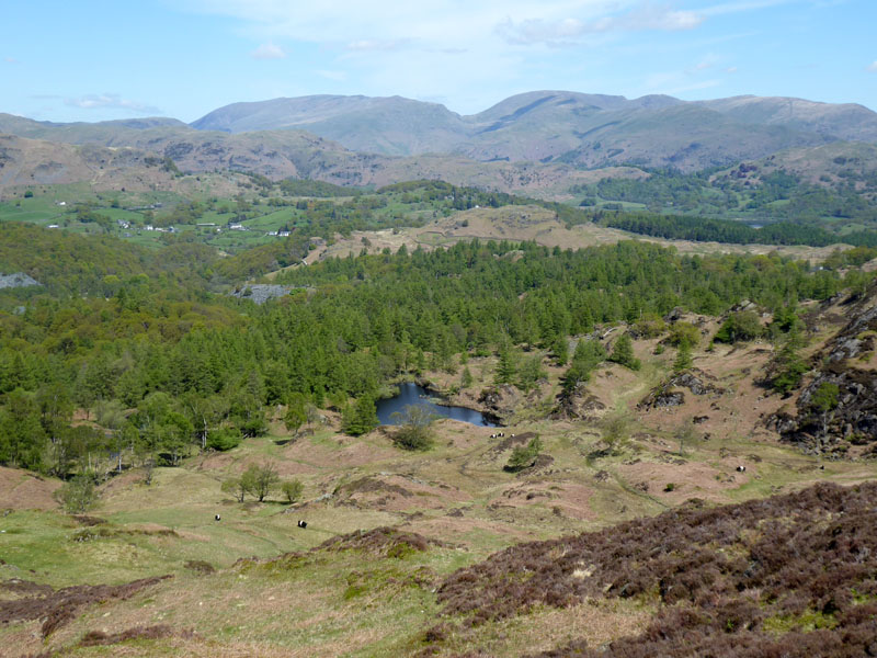 Holme Fell