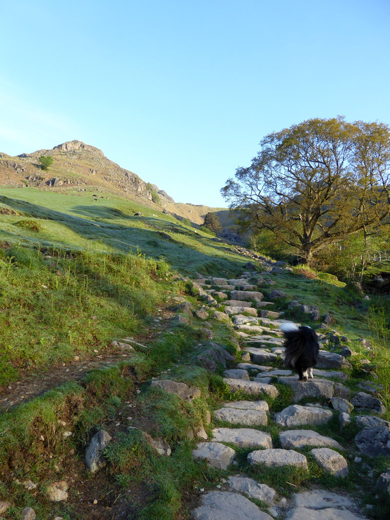 Stickle Beck