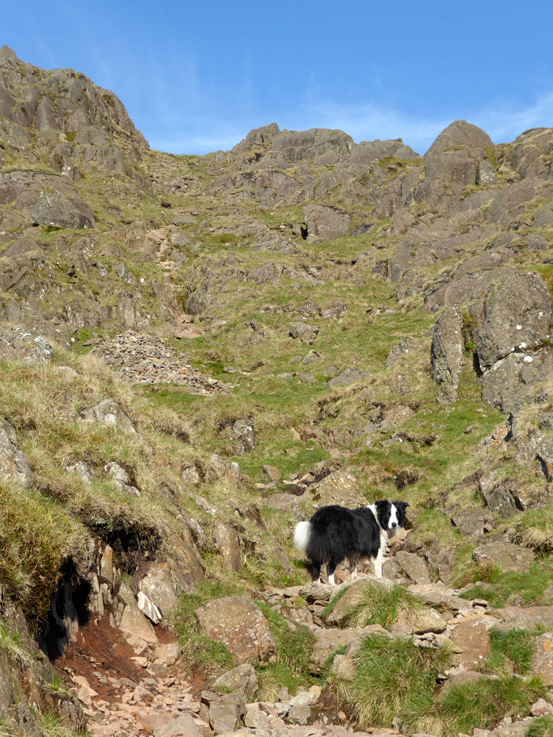North Rake