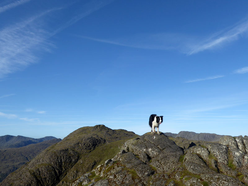 Molly Pavey Ark