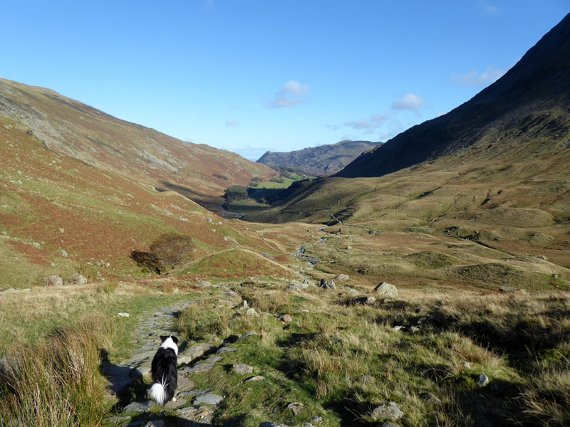 Grisedale