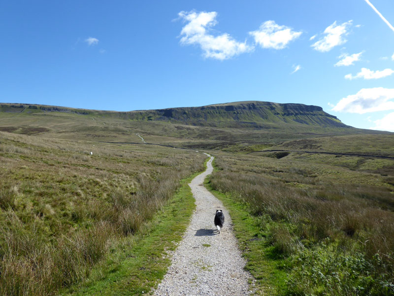 Pennine Way