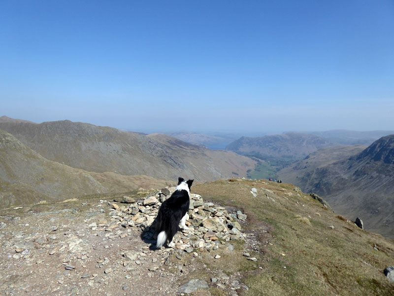 Molly Dollywagon Pike