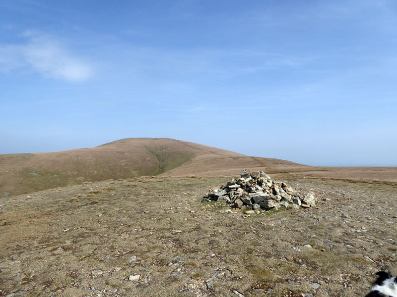 Watson's Dodd Summit