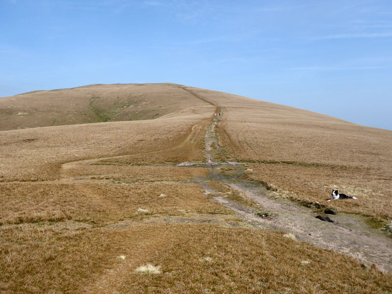 to Great Dodd