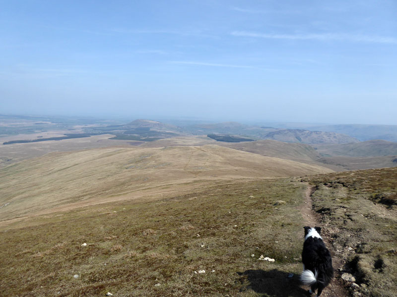 Matterdale Common