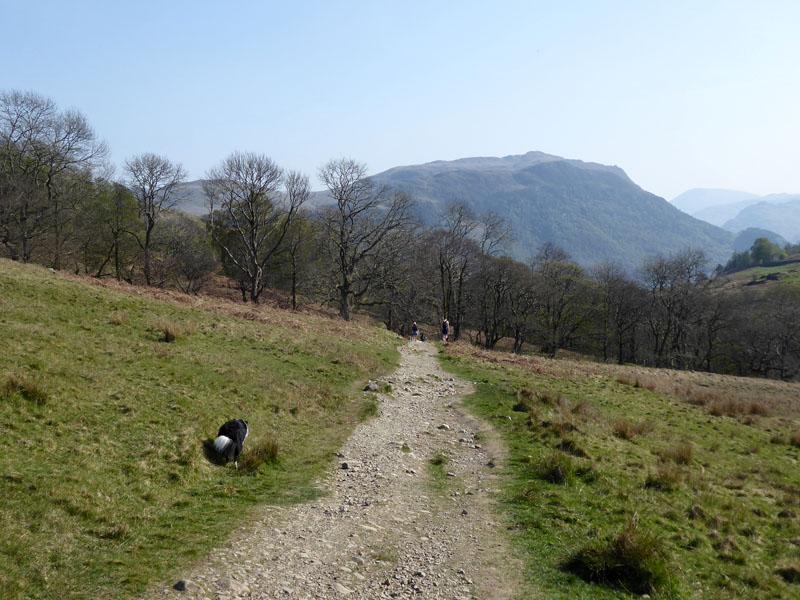 To Aira Force