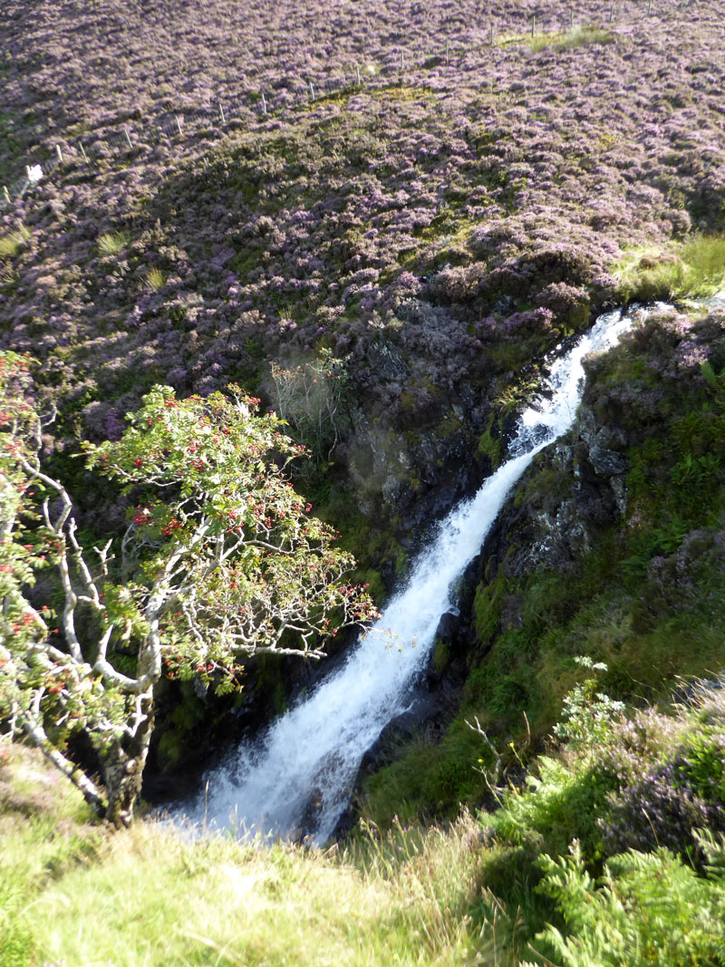 Dash Falls