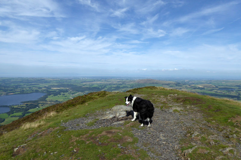 Molly Ullock Pike