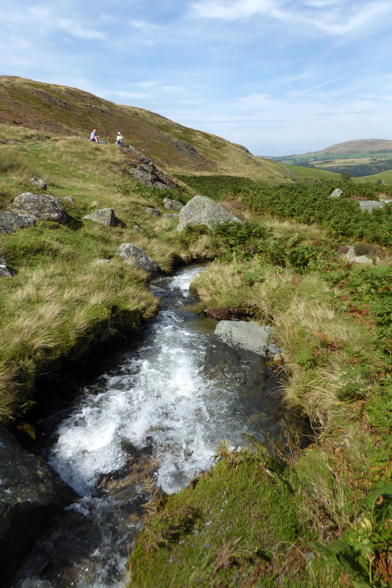 Southerndale Beck