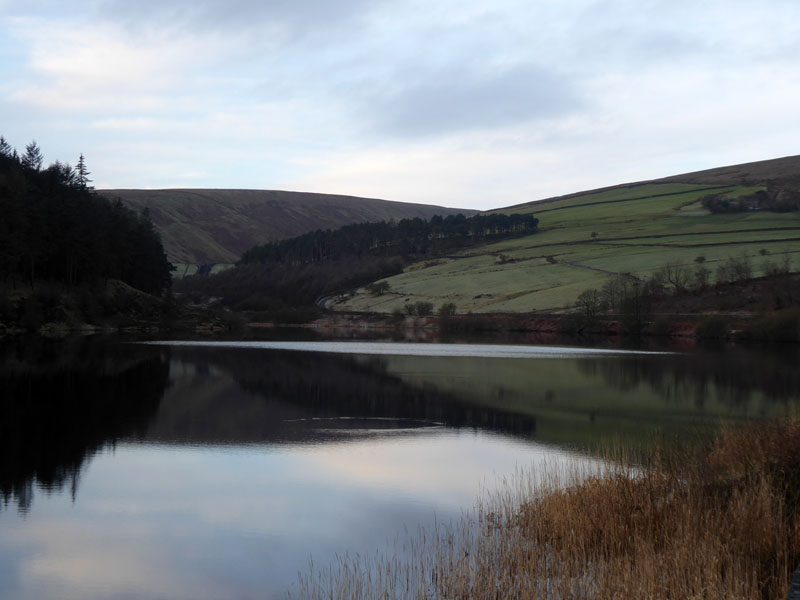 Lower Ogden Res