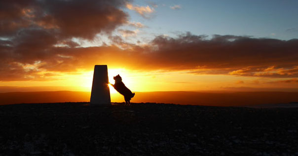 Pendle Sunrise