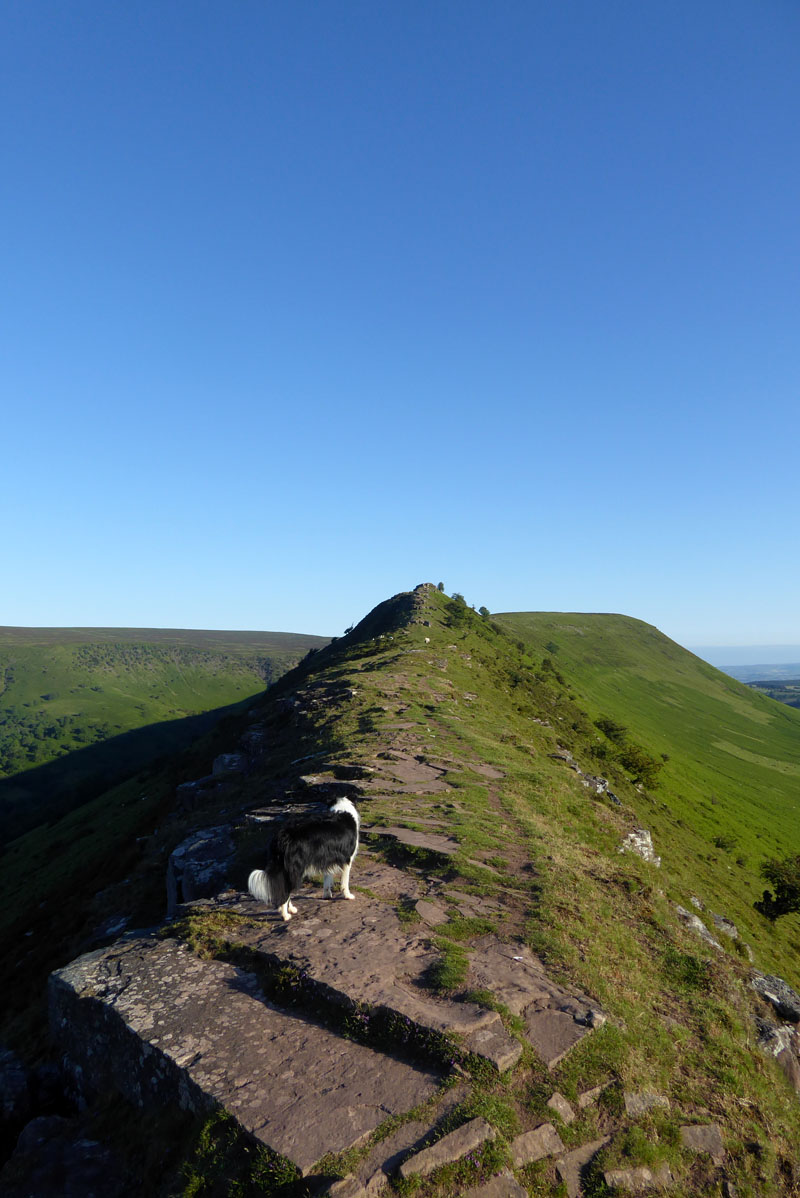 Cat's Back Ridge