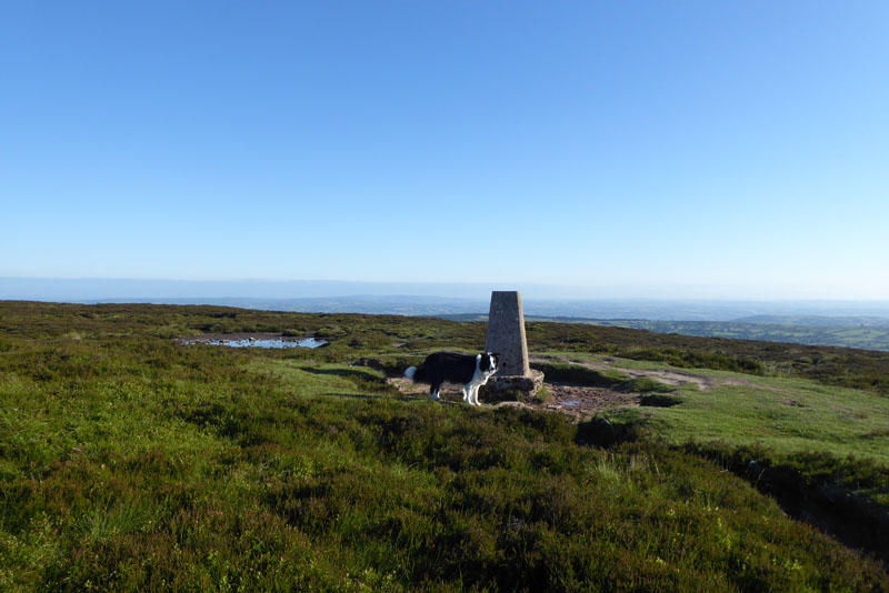 Black Hill Summit