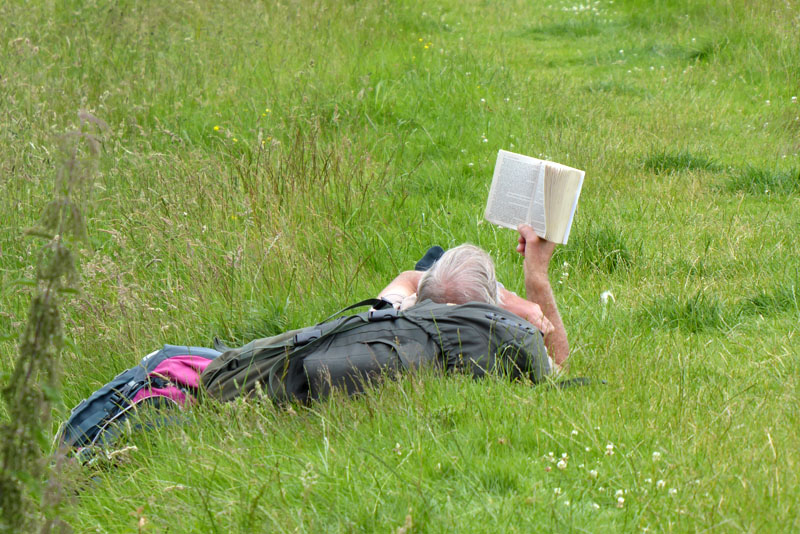 Book reader in Hay